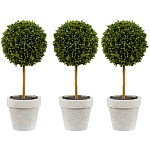 Декоративный искусственное растение Boxwood One варинант исполнения - 1 | Loft Concept в Рязани