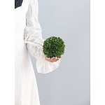 Декоративный искусственное растение Small boxwood варинант исполнения - 3 | Loft Concept в Рязани