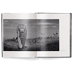 Книга Beusker. Look into my Eyes варинант исполнения - 1 | Loft Concept в Рязани