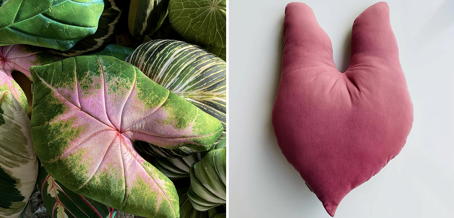 Декоративная подушка Botanical Cushion Caladium Bicolor Декоративная подушка Botanical Cushion Caladium Bicolor - Loft-Concept в Рязани