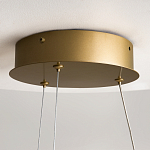 Люстра подвесная Curve 3000-4000К варинант исполнения - 13 | Loft Concept в Рязани