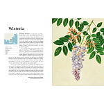 Прекрасно иллюстрированная книга более 100 ботанических произведений Plant Hunters Atlas варинант исполнения - 4 | Loft Concept в Рязани