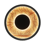 Бра круглое Gold Sun Lighting  варинант исполнения - 1 | Loft Concept в Рязани