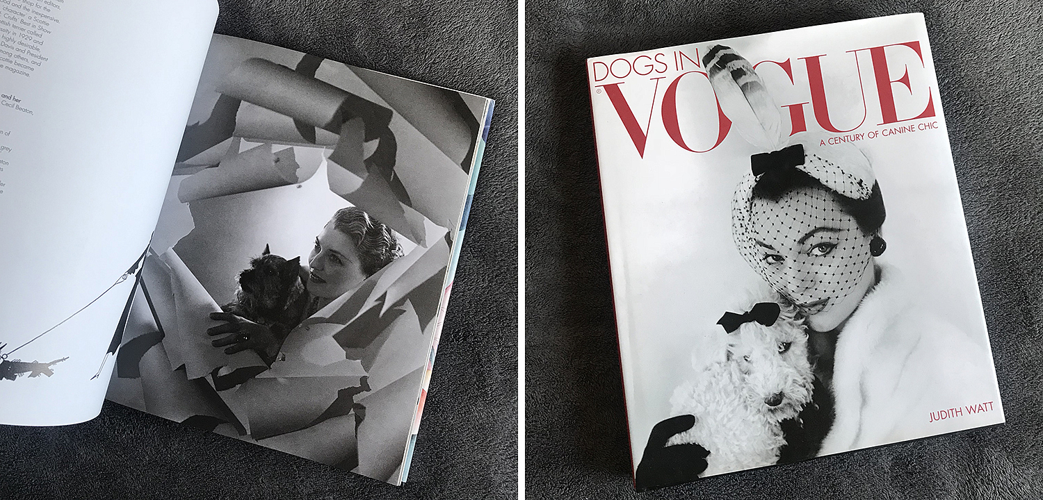 Dogs in Vogue A Century of Canine Chic Dogs in Vogue A Century of Canine Chic - Loft-Concept в Рязани