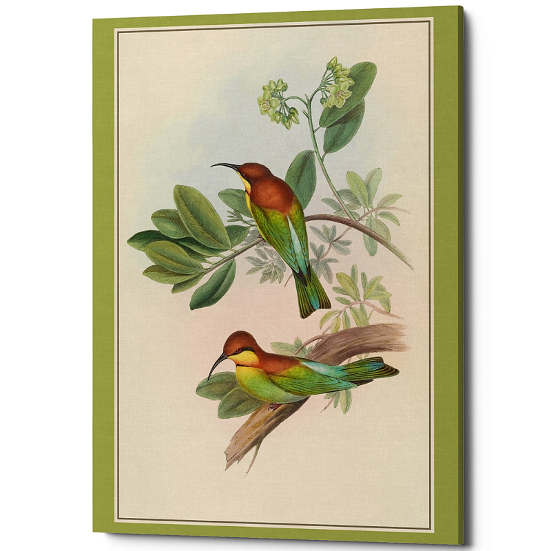 Постер на холсте с изображением птиц Blooming Birds Poster Бежевый Салатовый Мульти Постер на холсте с изображением птиц Blooming Birds Poster Бежевый Салатовый Мульти в Рязани | Loft Concept
