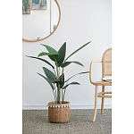 Декоративный искусственное растение Decor Stile  варинант исполнения - 5 | Loft Concept в Рязани