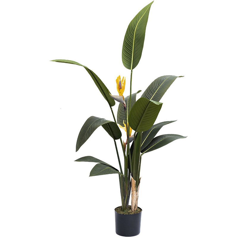 Искусственная Strelitzia Reginae Зеленый Искусственная Strelitzia Reginae Зеленый в Рязани | Loft Concept