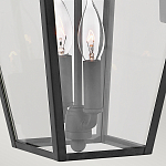 Настенный фонарь черного цвета с прозрачным стеклянным плафоном трапециевидной формы Hinkley варинант исполнения - 4 | Loft Concept в Рязани